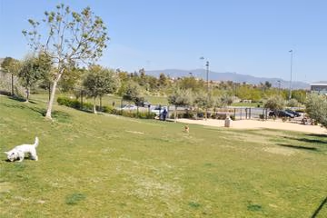 Dog Park at Montevalle Park